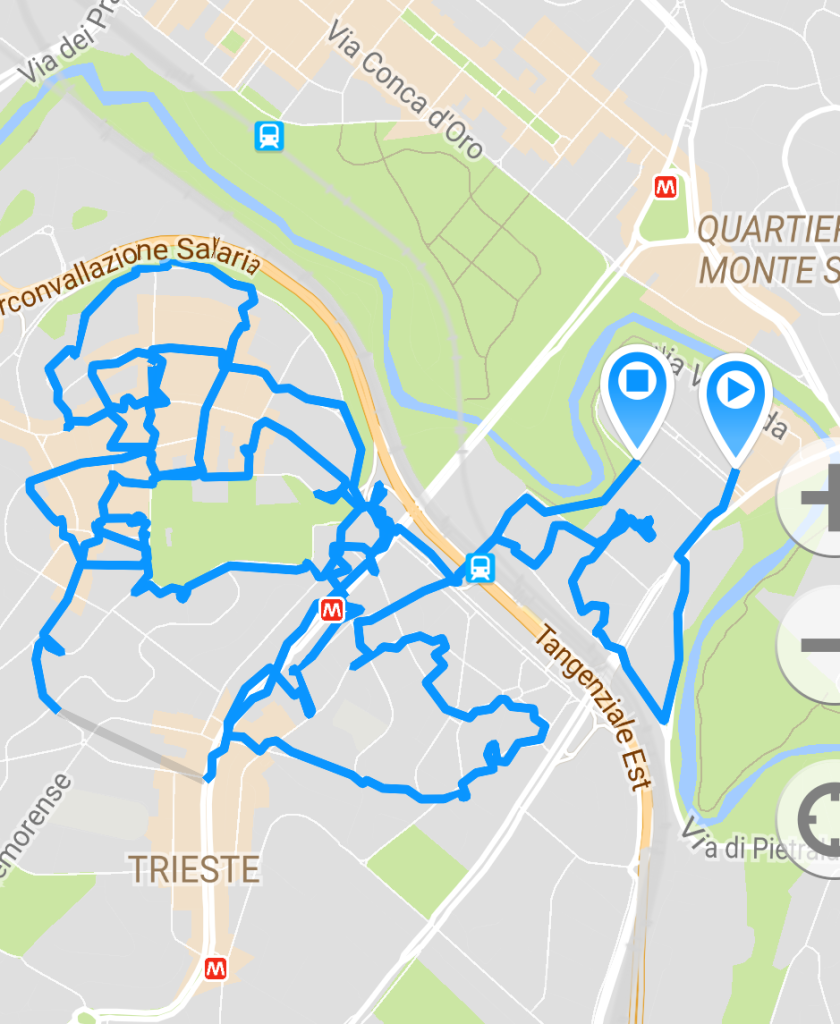 Ein Ausschnitt der Laufwege im Gebiet des Quartiere Africano. Der Screenshot zeigt die gelaufenen Wege über GPS-Tracking und diente dazu, die lückenlose Dokumentation des Gebietes sicherzustellen. So konnten etwa am Folgetag, die bisher noch nicht gelaufenen Abschnitte dokumentiert werden.